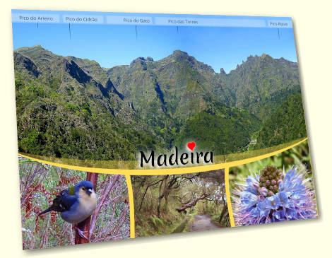 Mountains of Madeira postcard